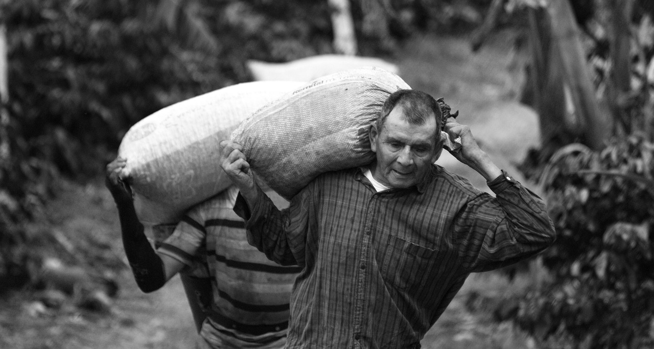 Rooted in Kerala, Dedicated to Quality